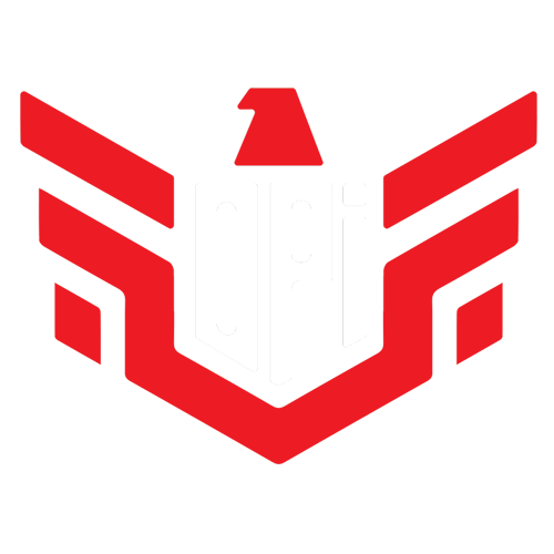logo-team-OPI
